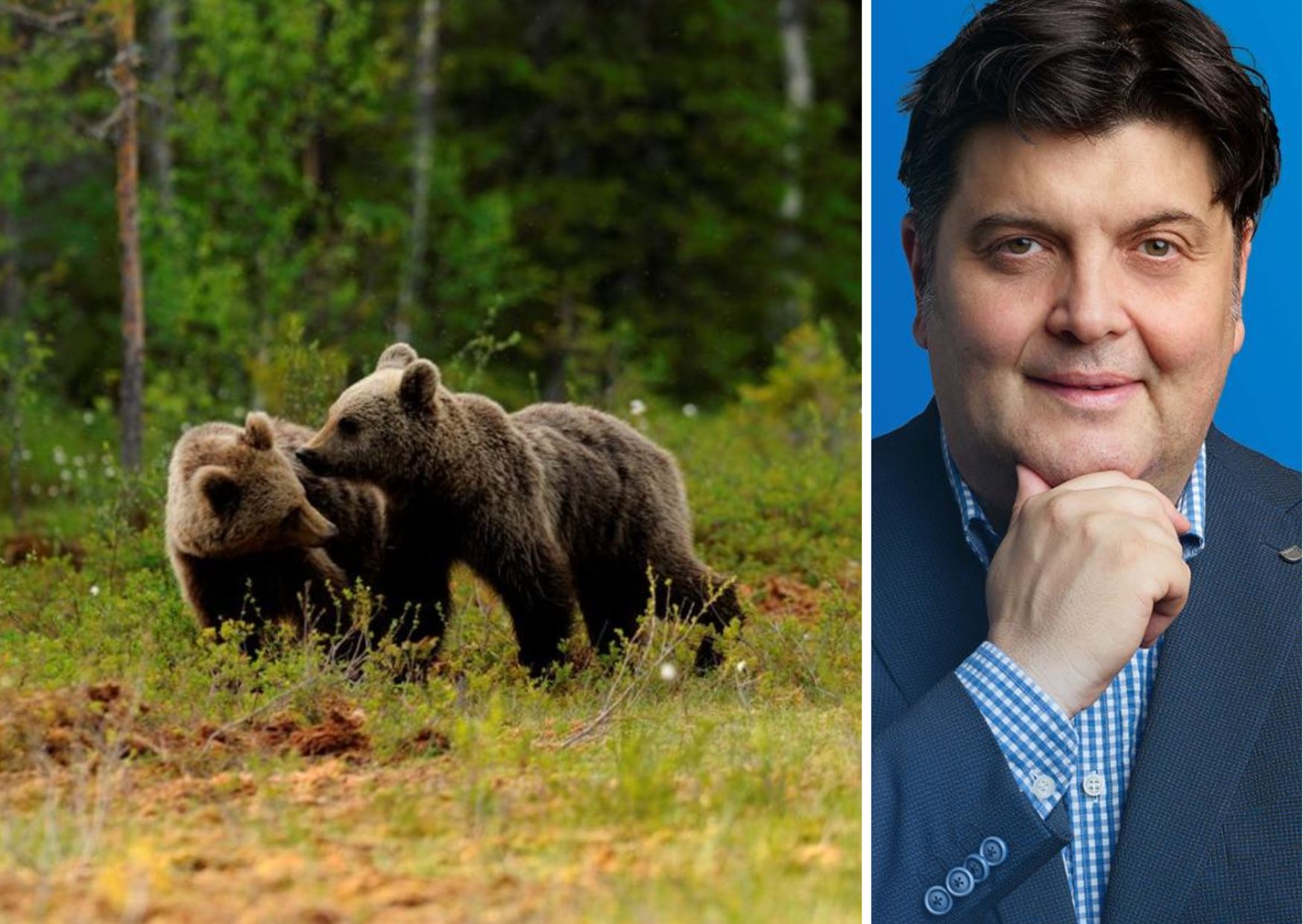 Campobase: "Orsi, norma inutile e pleonastica"