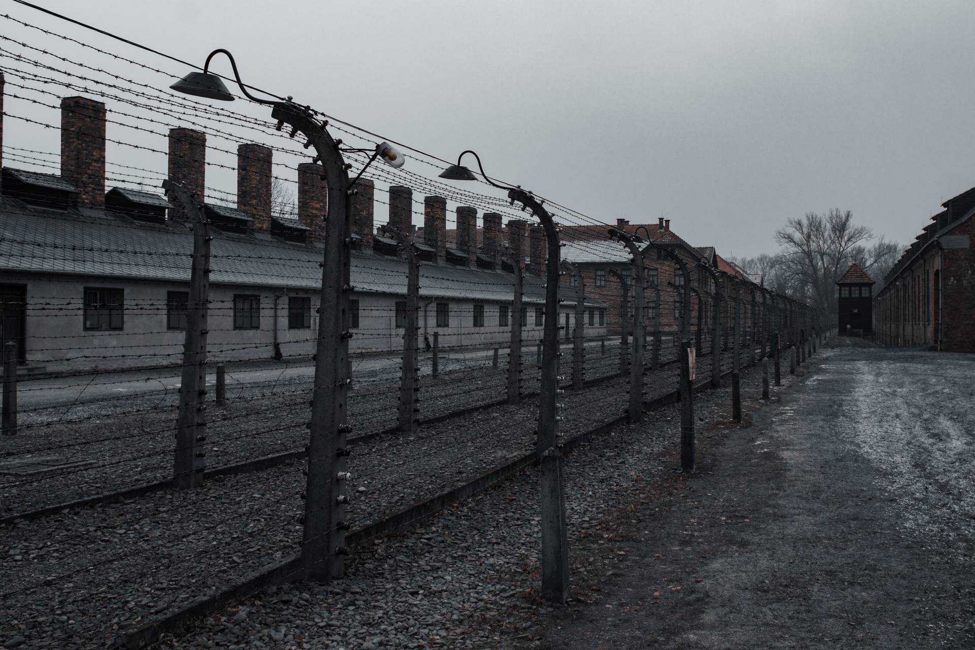 Testimonianze dalla Shoah