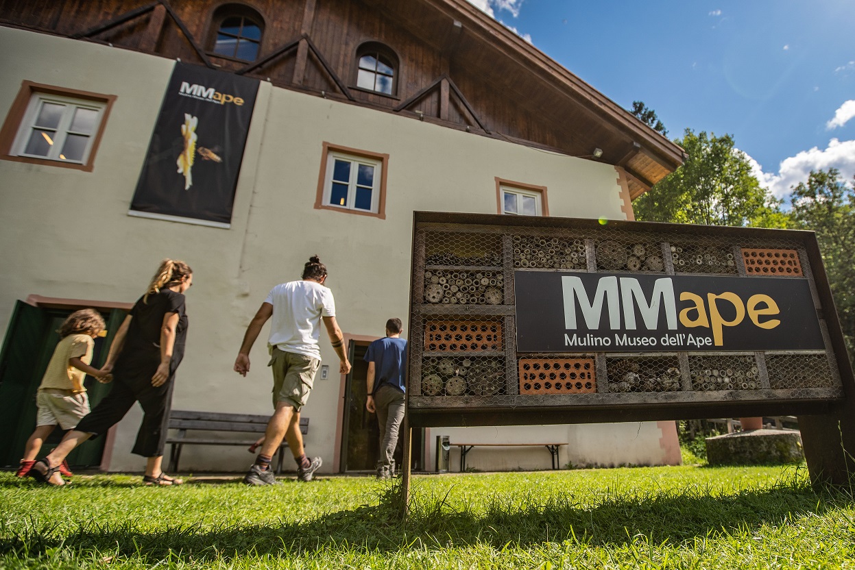 MMape e Sfruz insieme per le api