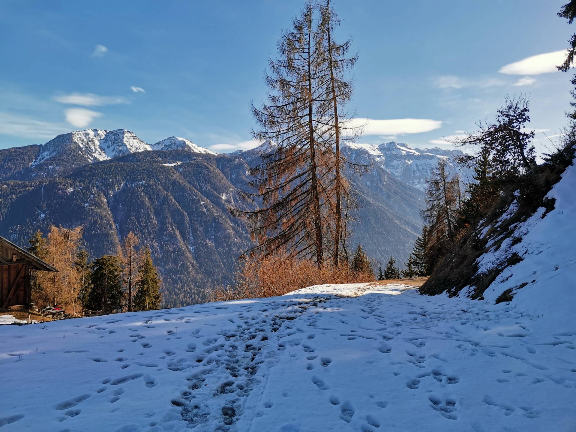 Mal&eacute;: Sat in assemblea