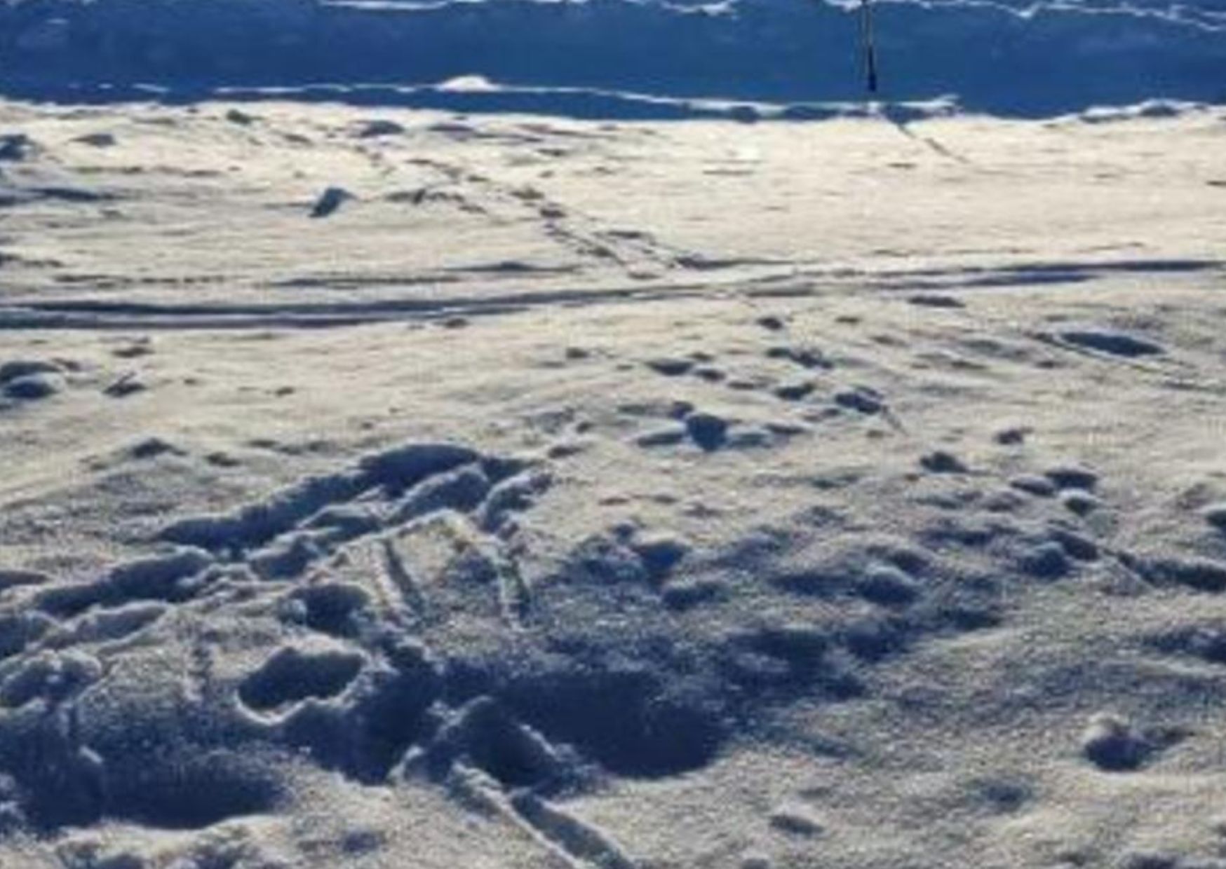 Febbraio asciutto e con temperature molto sopra la media