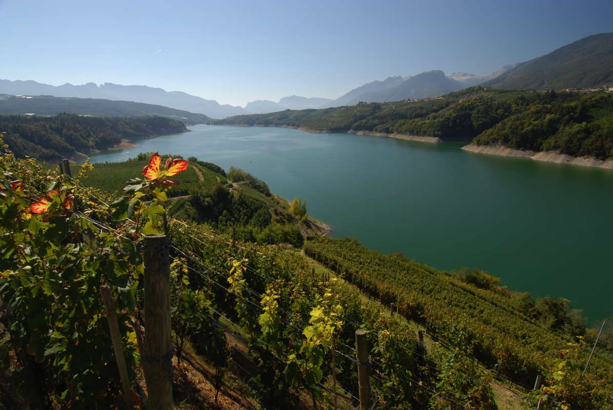 I dipendenti del ricettivo trovano alloggio negli hotel dismessi