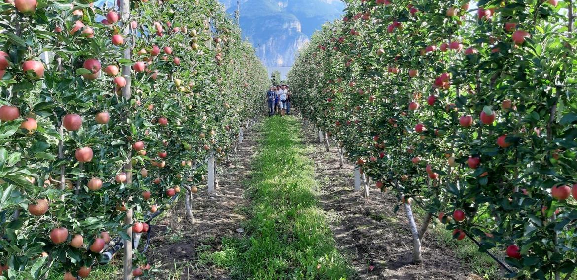 Corso per imprenditori agricoli, iscrizioni fino al 16 ottobre