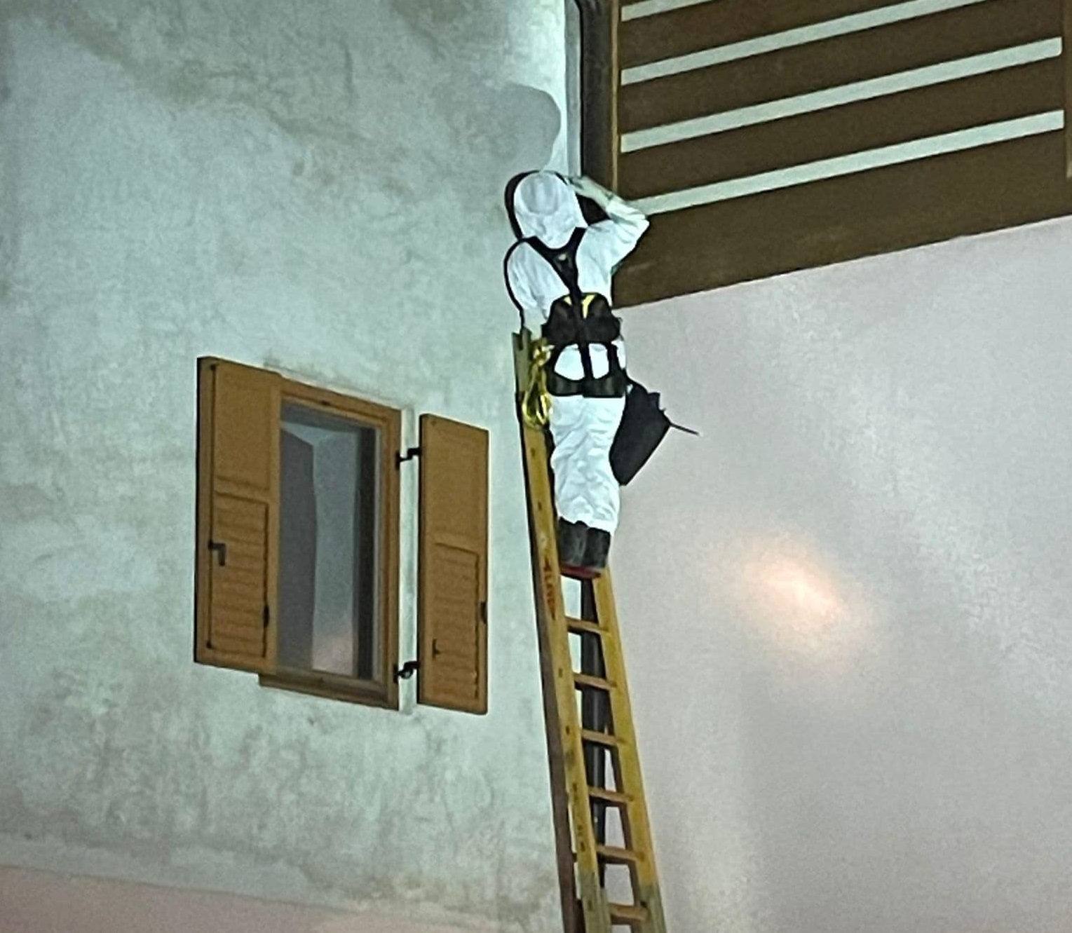 Vespe a casa, arrivano i vigili