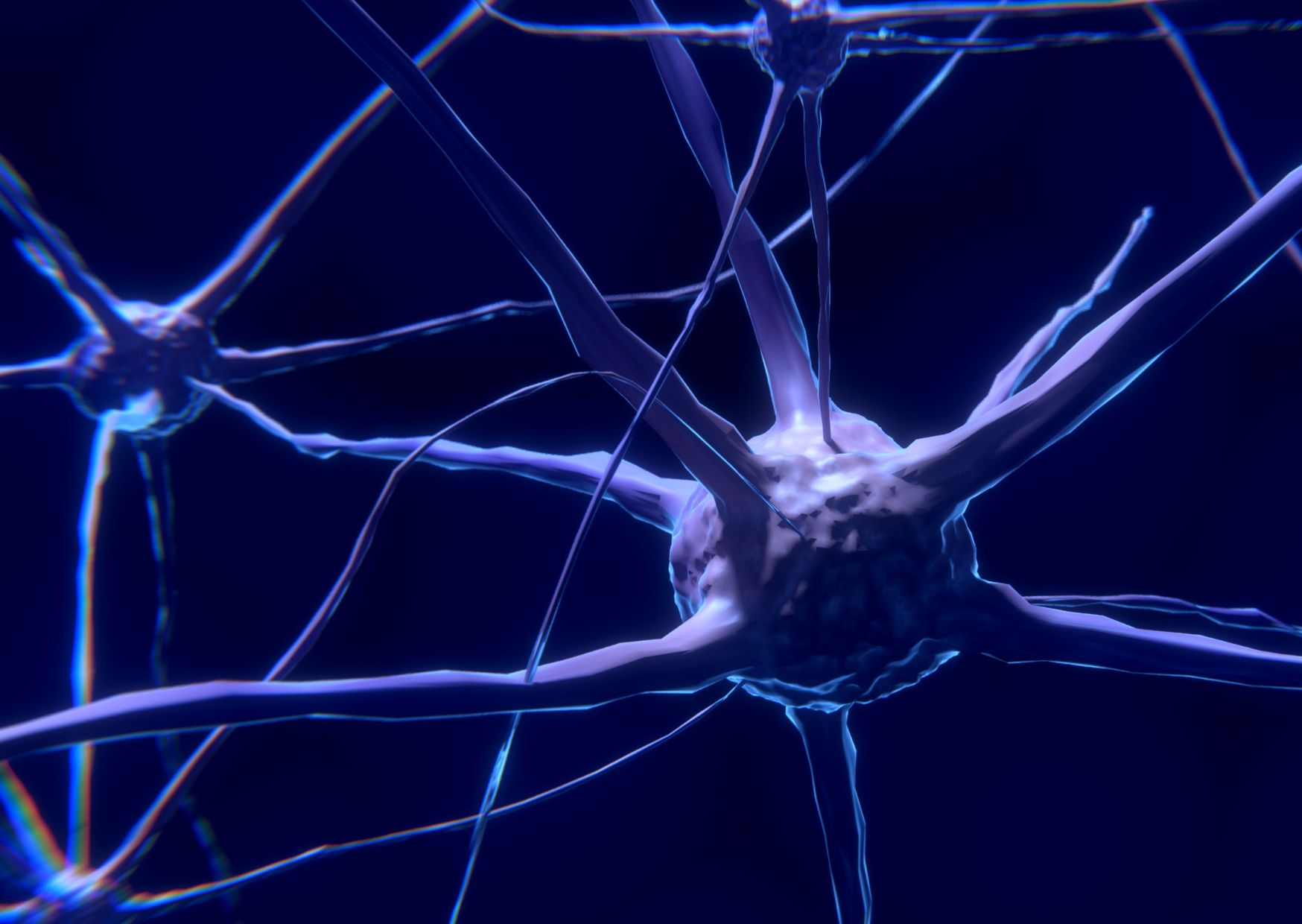 L'ansia si pu&ograve; predire dal volume cerebrale