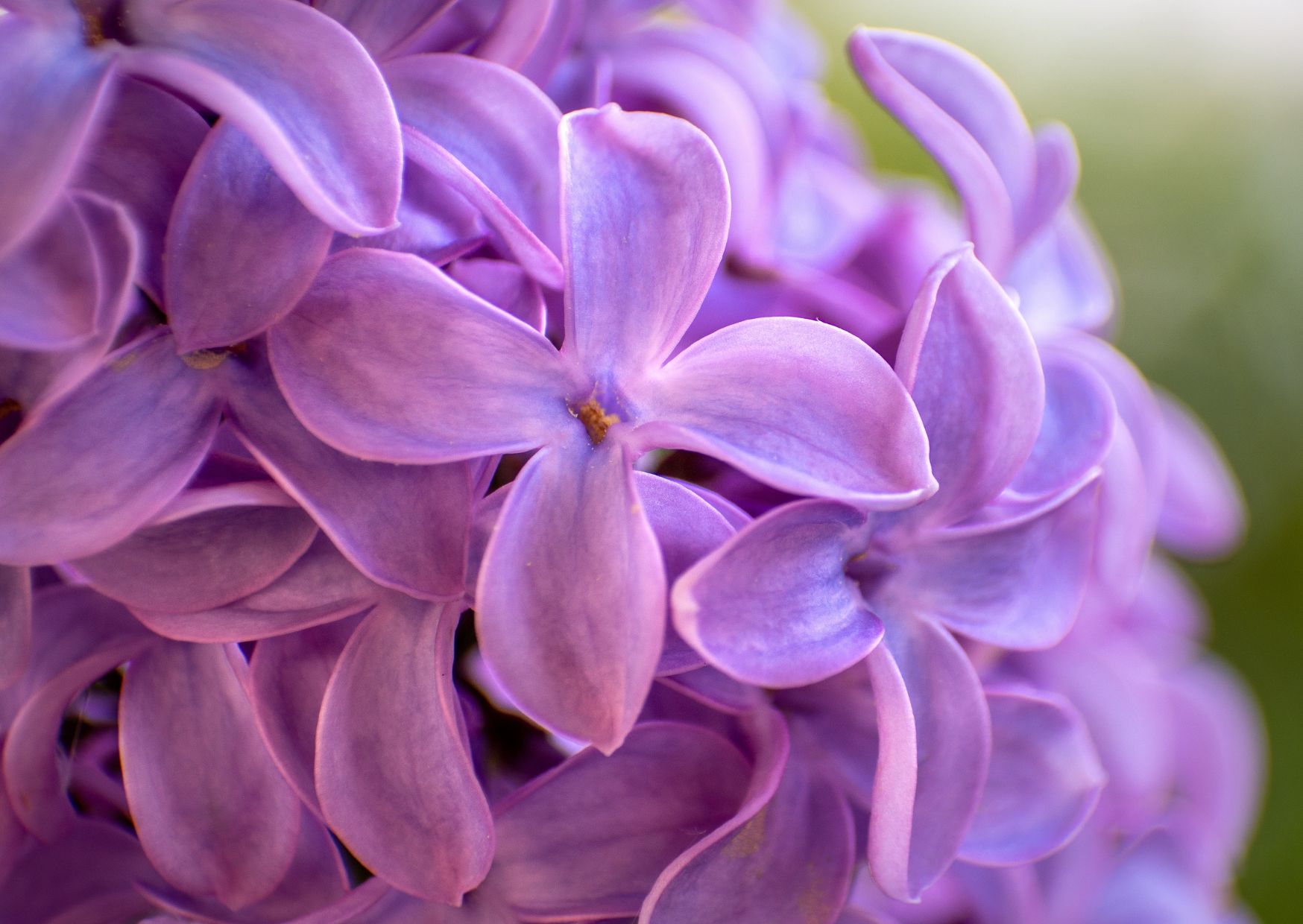 Oggi è la Giornata nazionale contro i disturbi del comportamento alimentare