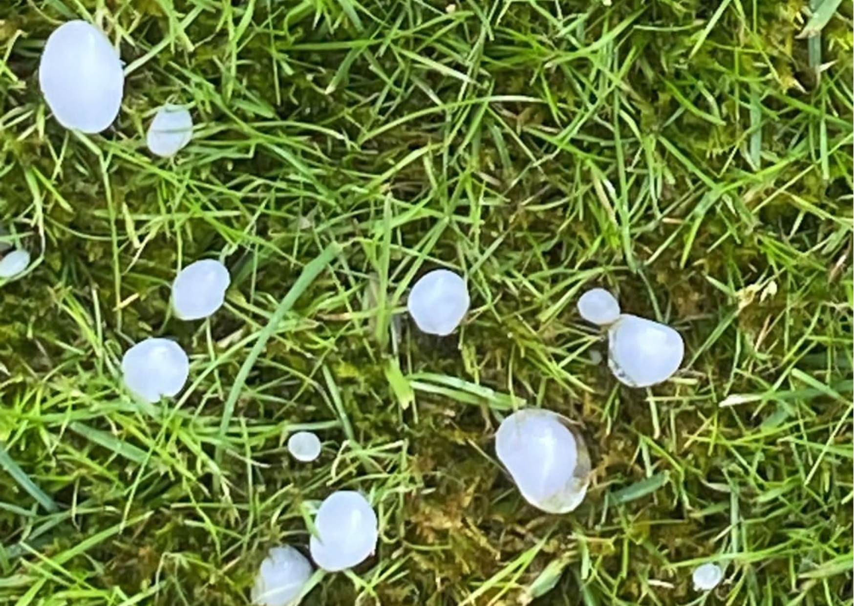 Il maltempo porta la grandine in Val di Non