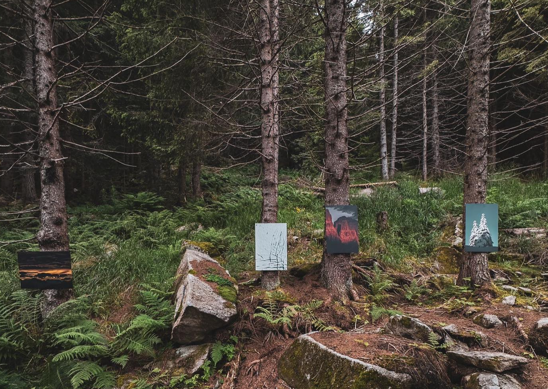 Un incivile ruba la foto del Crozzon del Brenta