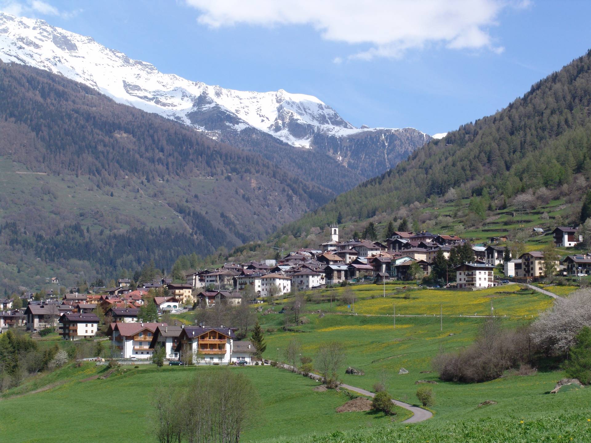 "Elaborazione del lutto. Parliamone!"