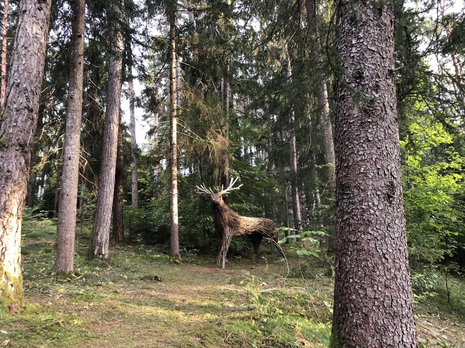 L"arte ambientale prende vita