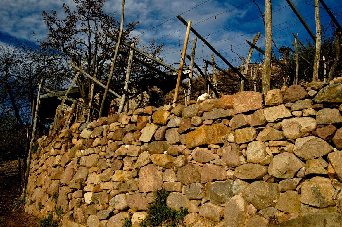 Muretti a secco: successo per i bandi 2021-2022