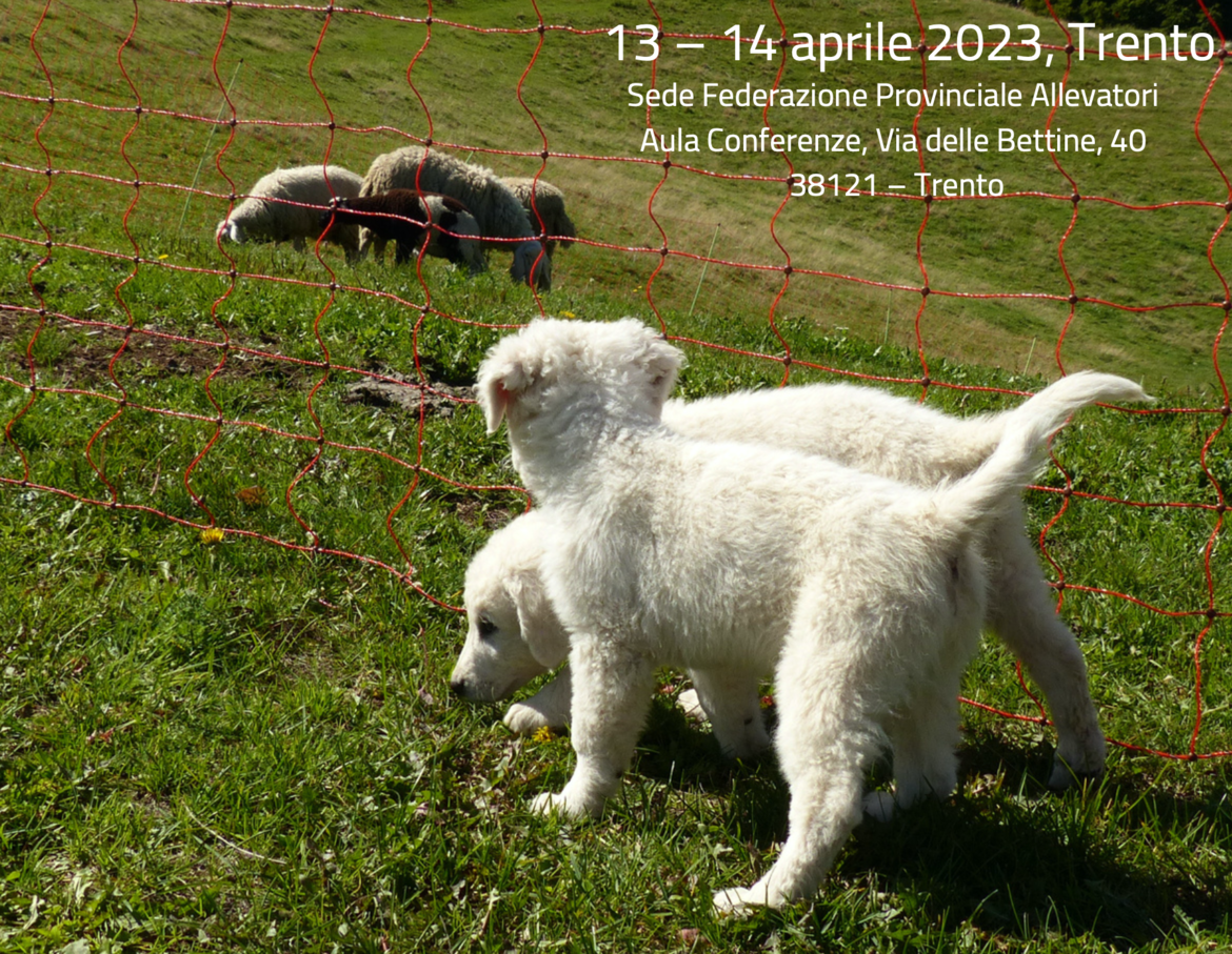 Cani da guardiania, gioved&igrave; 13 e venerd&igrave; 14 aprile il corso di formazione