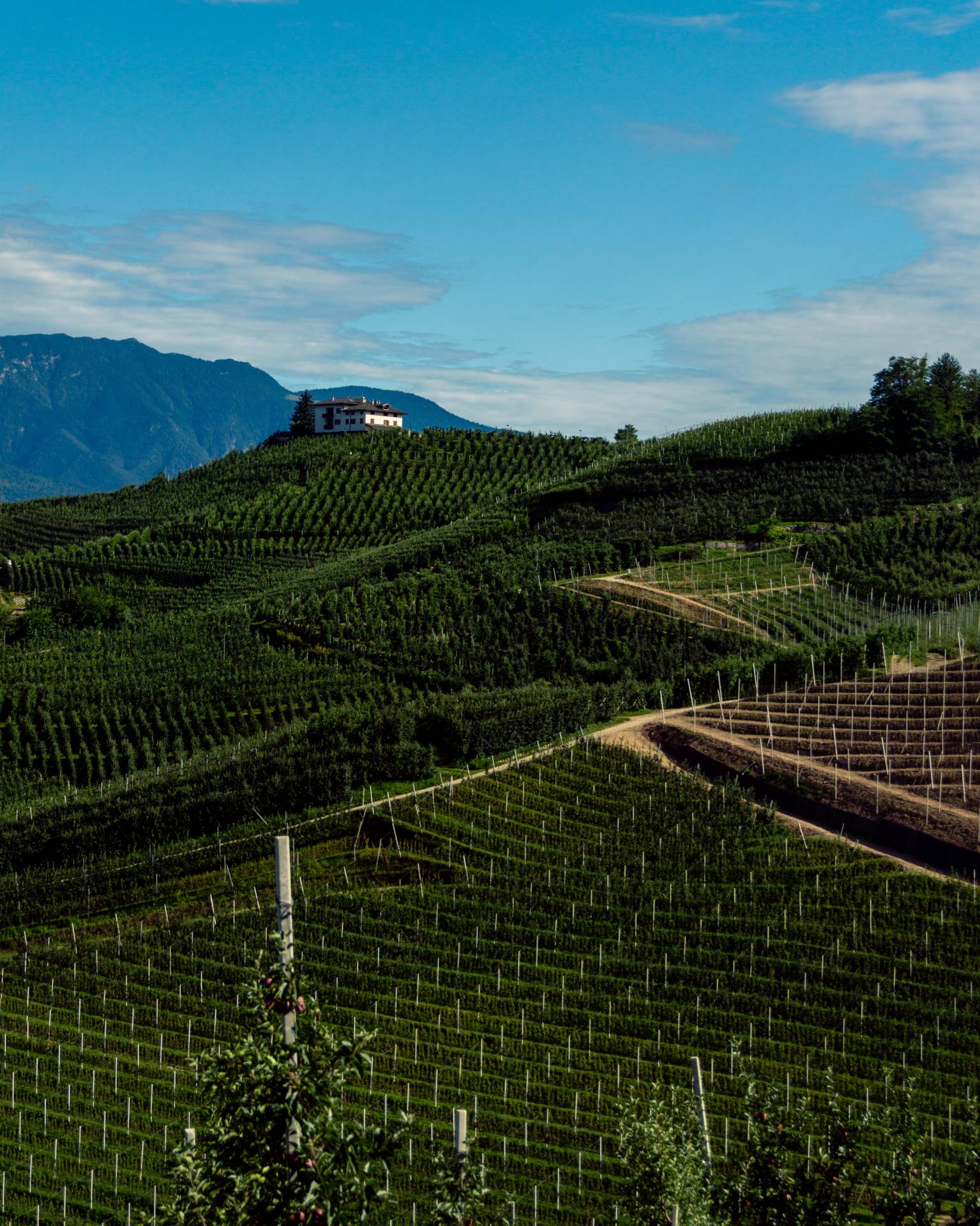 Nuova Pac: al Trentino quasi 199 milioni di euro