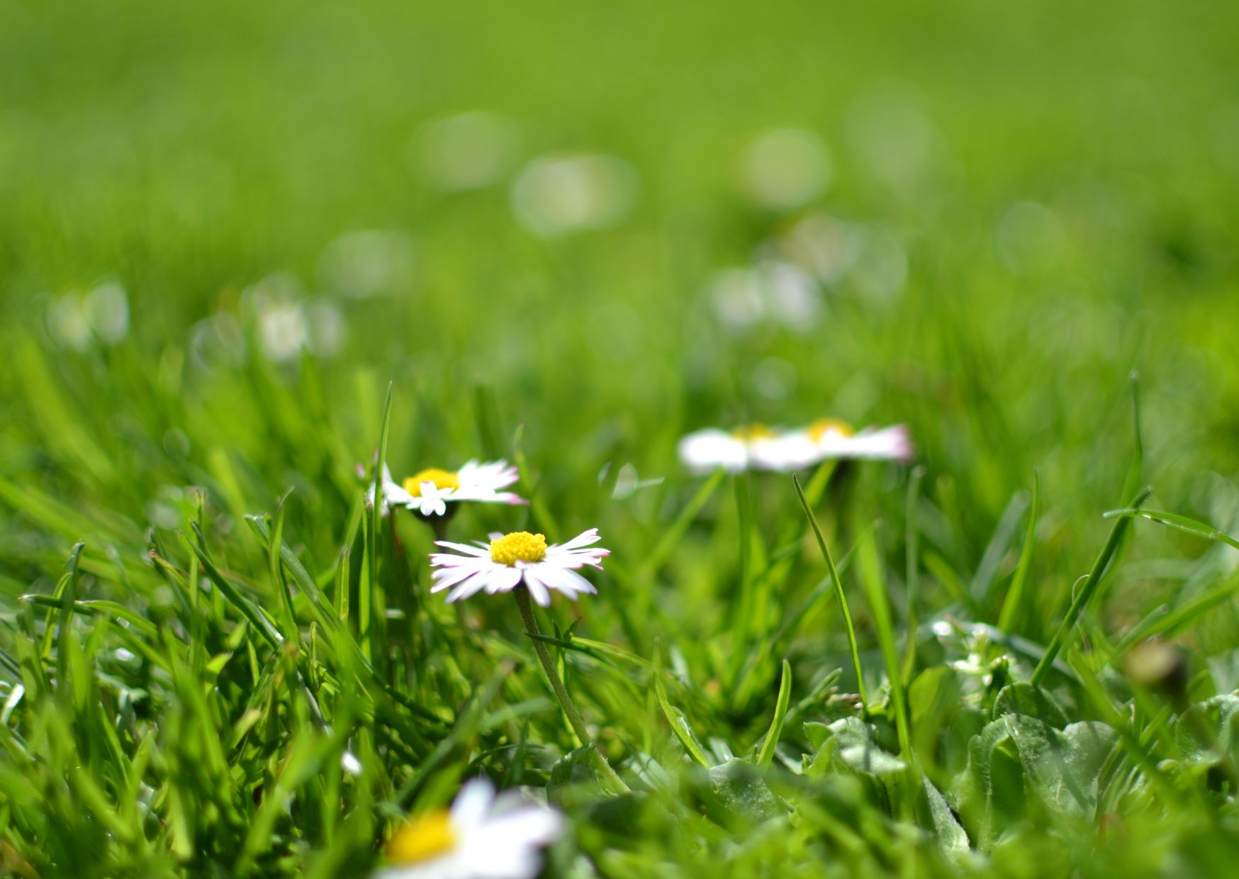 Un progetto per produrre idrogeno verde