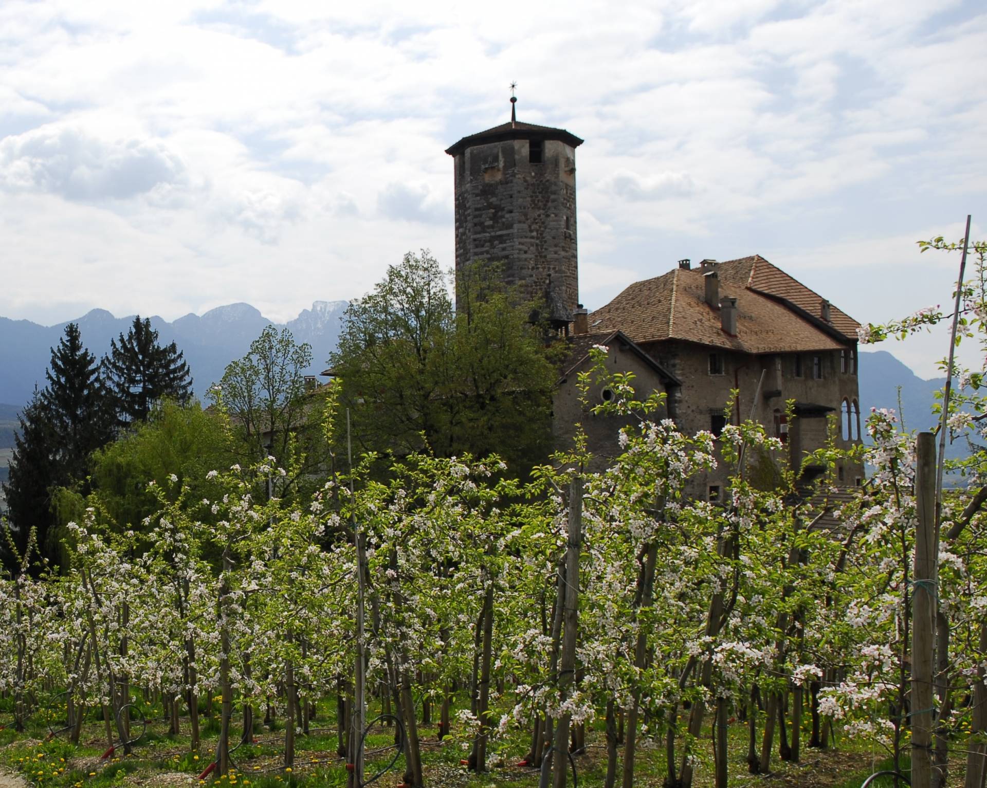 La lugiangia pu bona 2023