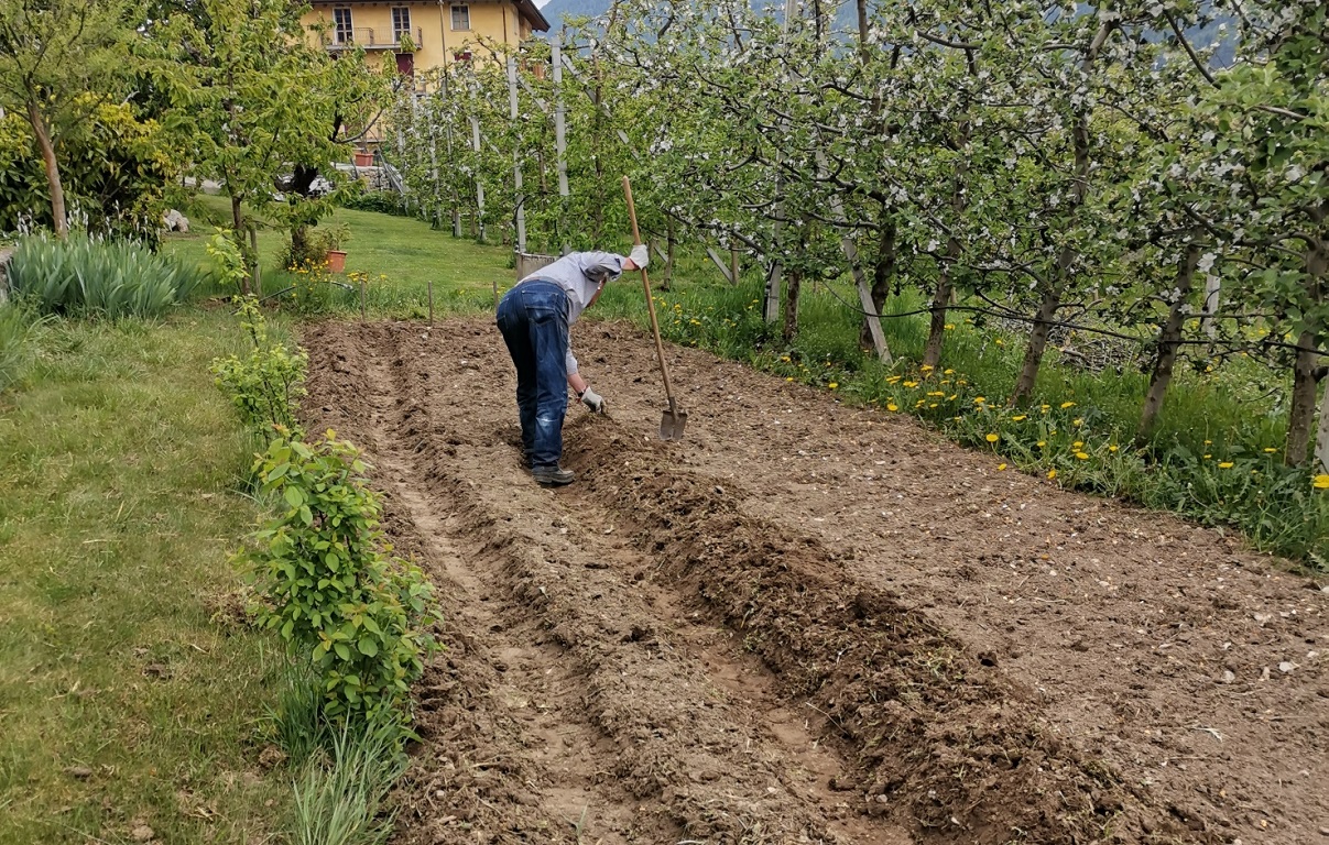 Sei italiani su dieci vanno a zappare