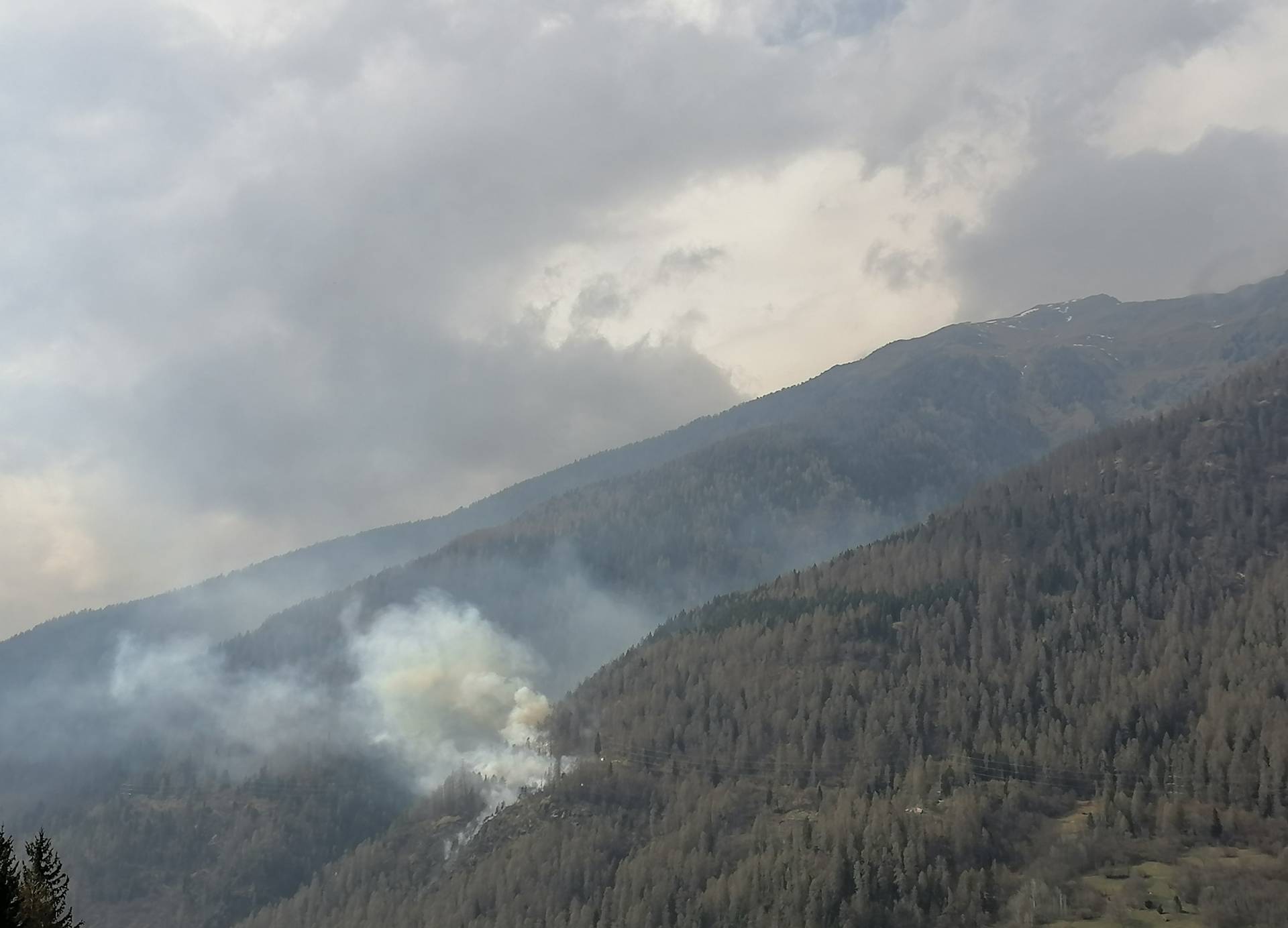 Incendio boschivo a Commezzadura