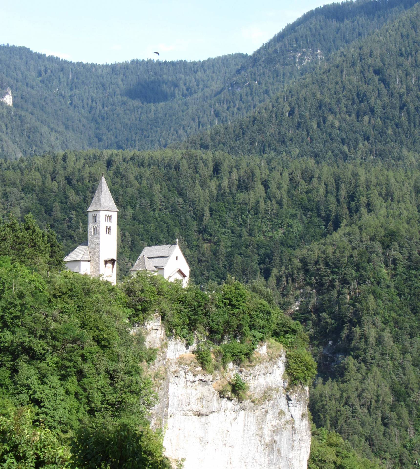 A Verv&ograve;: gli asini (34)