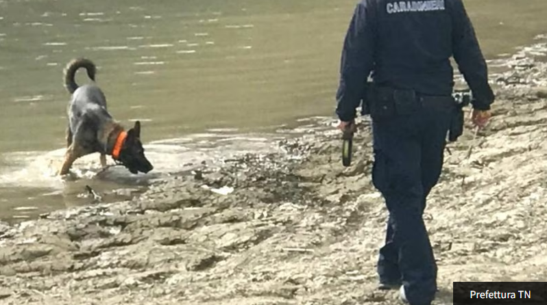 Sara Pedri, proseguono le ricerche