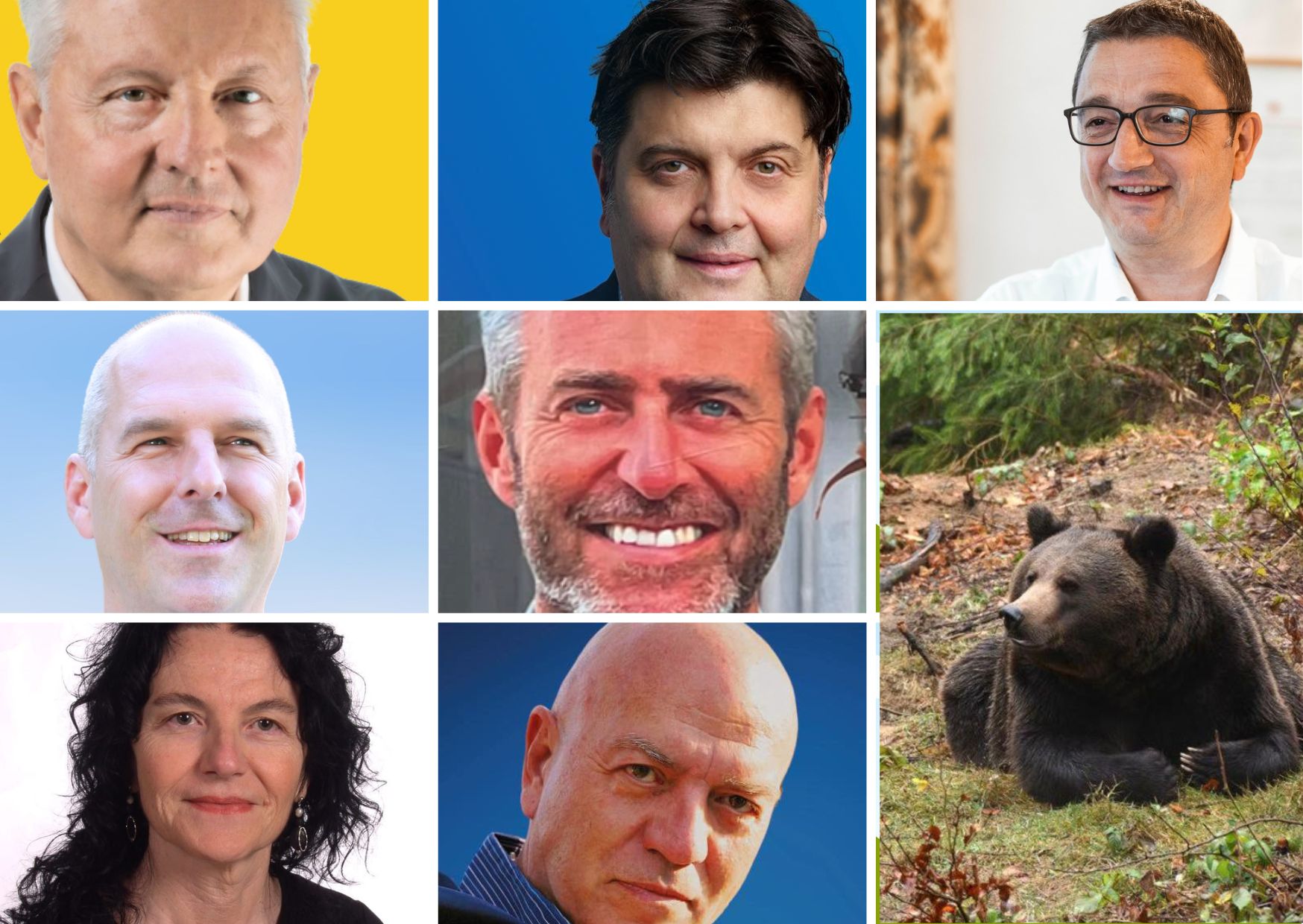 Orso, candidati presidenti a confronto