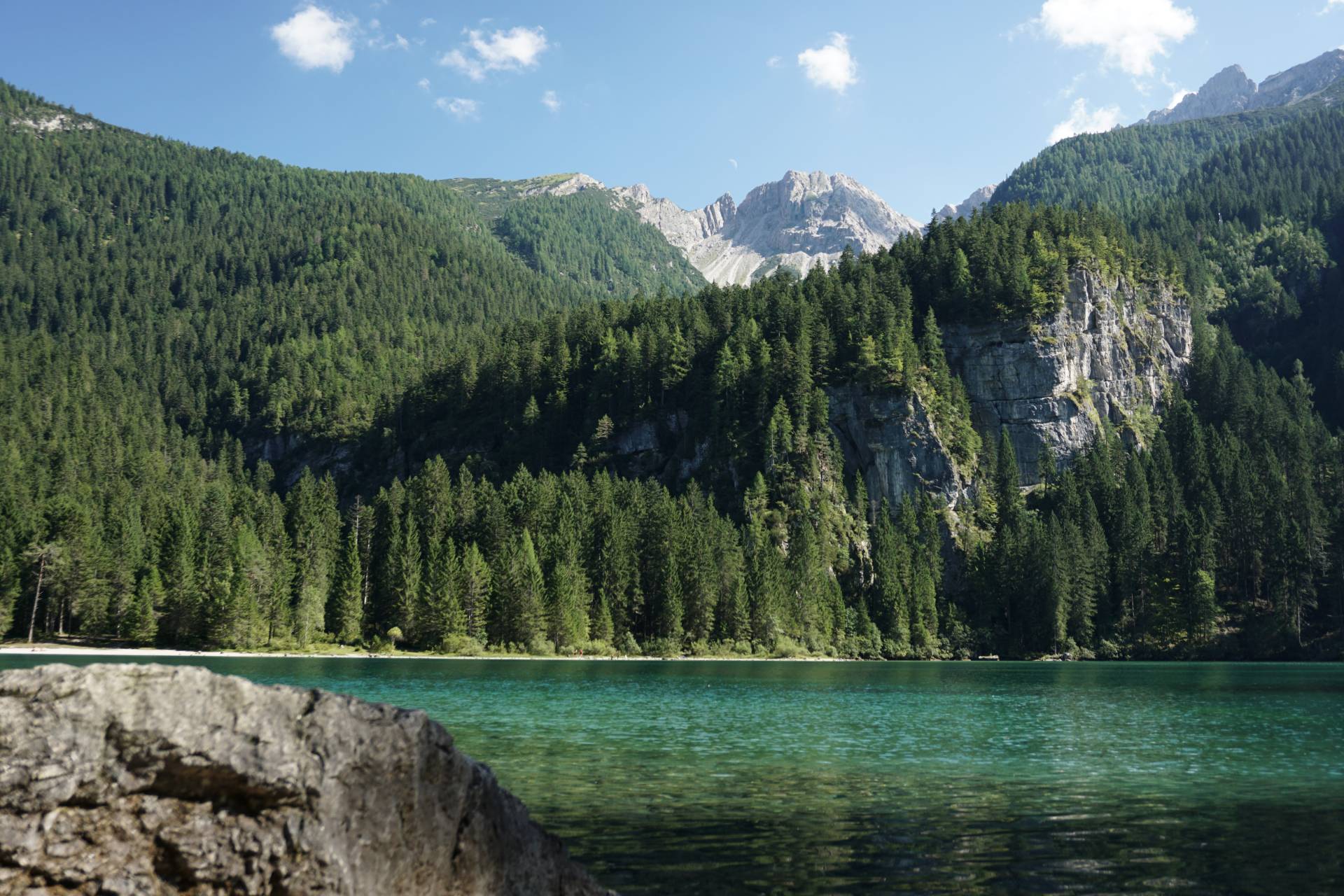 Le ultime scoperte scientifiche, ma non solo