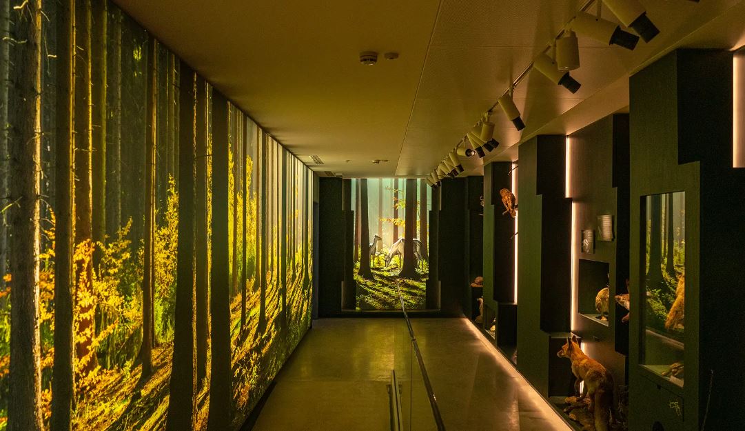 Italia.it, il Parco Nazionale dello Stelvio istituito nel 1993