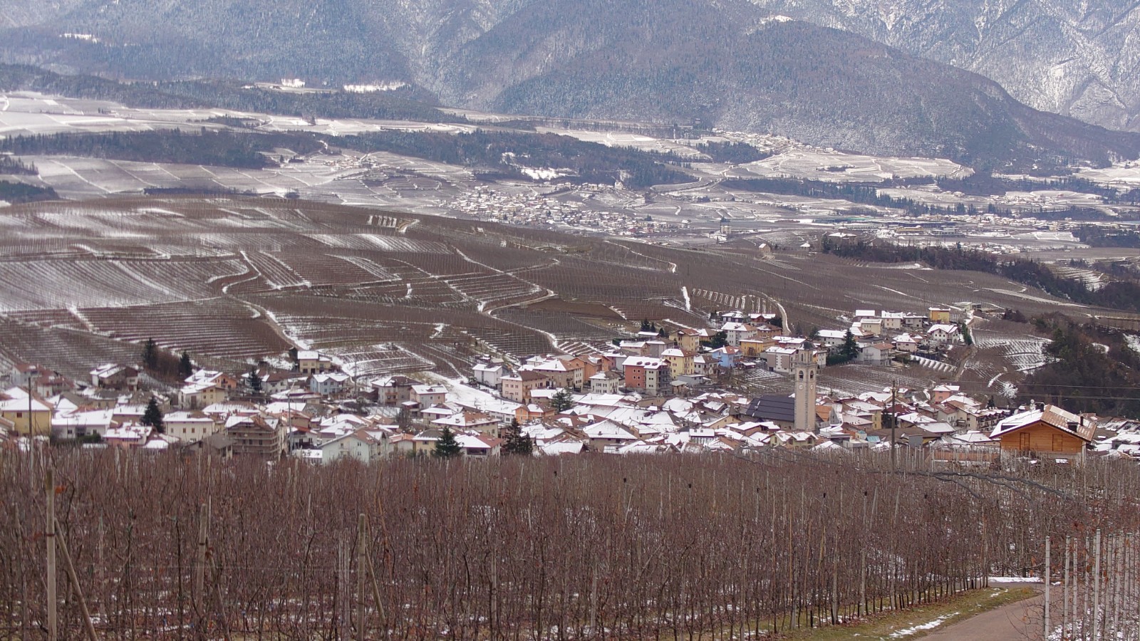 A Tuenno: orsi e s-ciandorl&agrave; ri (31)