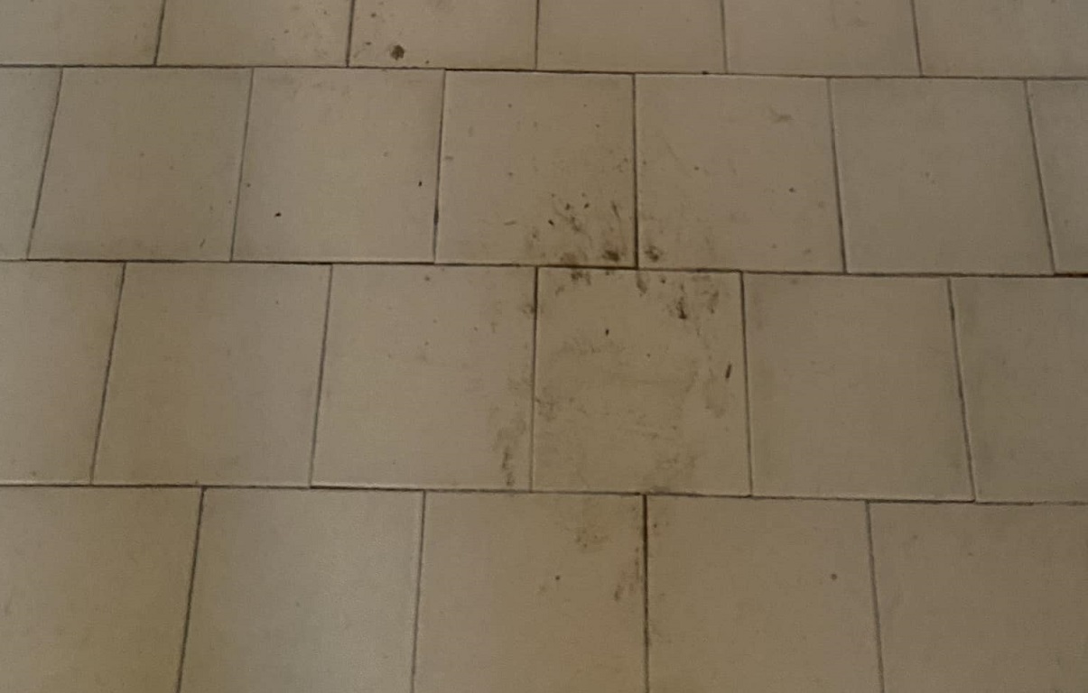 Residence a misura d'orso