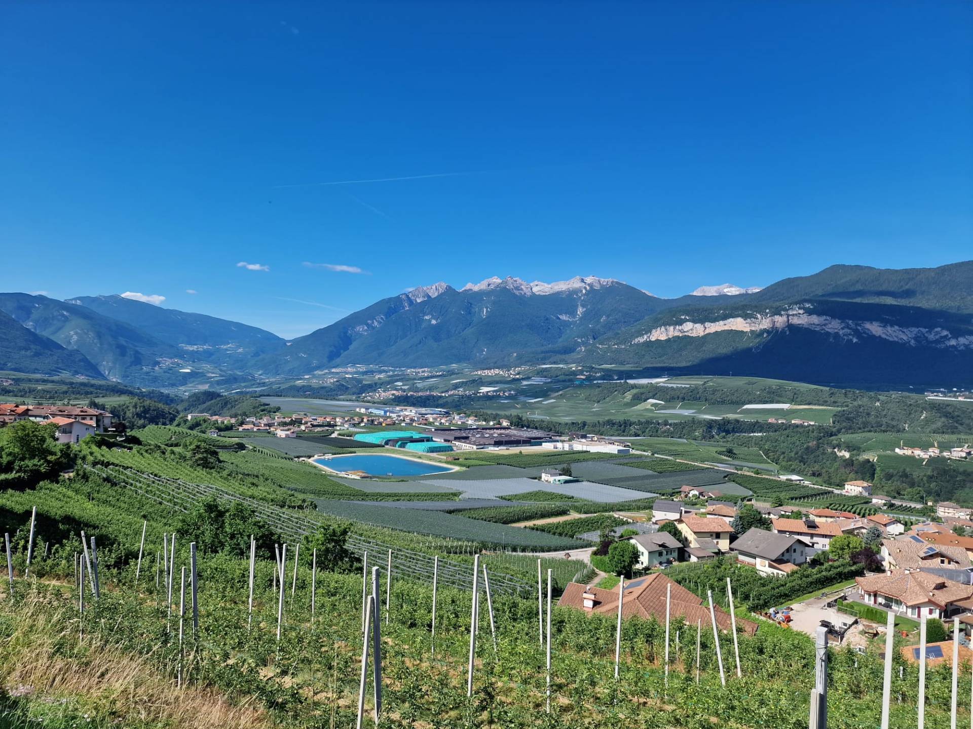 Prognosfruit 2023: in Val di Non si discute il futuro di mele e pere