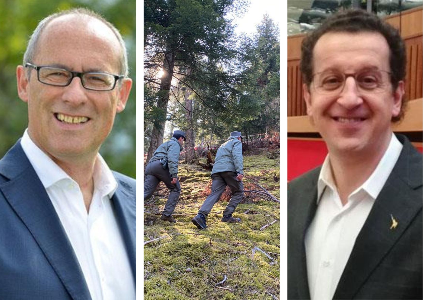 S&igrave; a pi&ugrave; forestali per controllare gli orsi