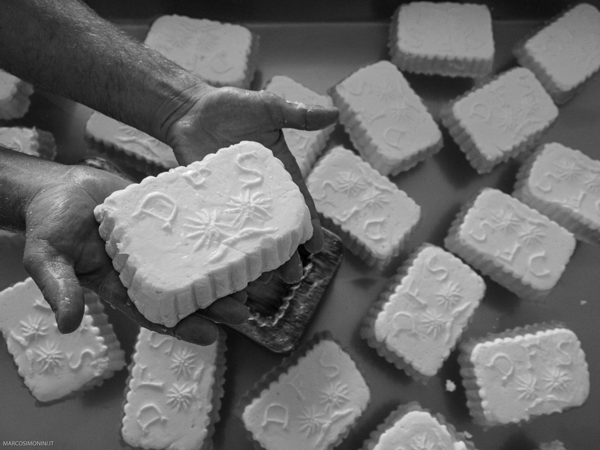 Cercatori d'erba. Malghe da formaggio in Trentino