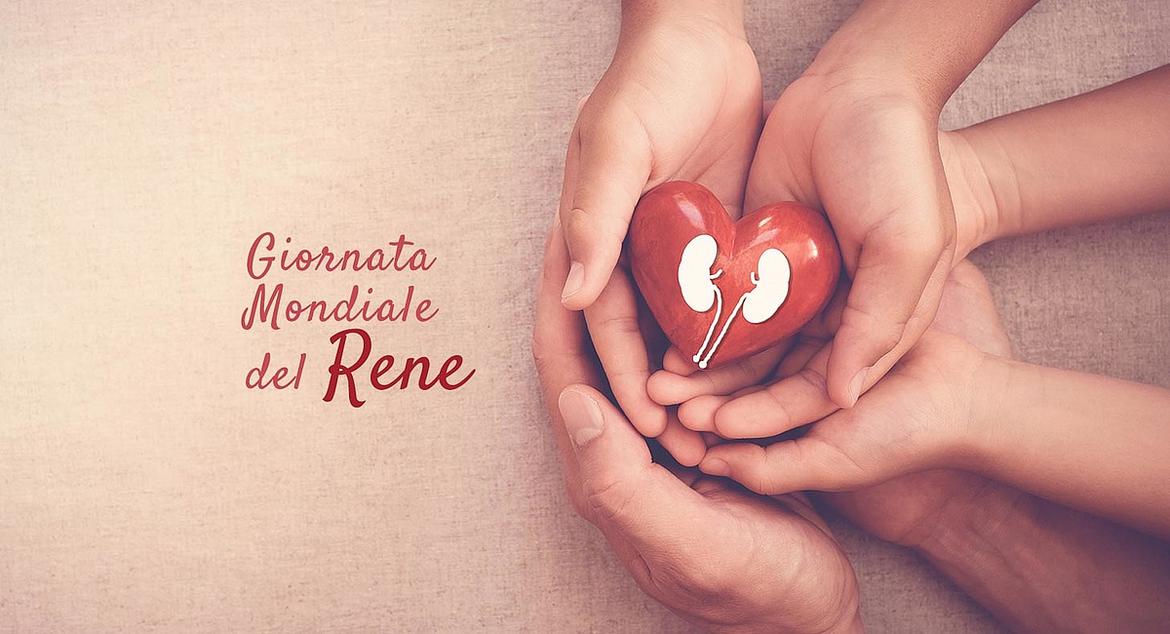 Giornata del rene, l"importanza della diagnosi precoce