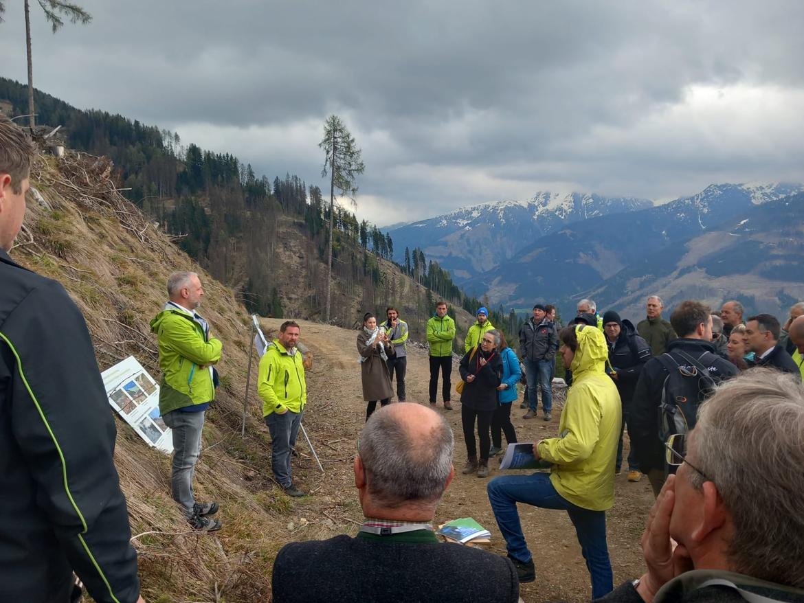 Epidemia di bostrico nelle foreste dell'Euregio