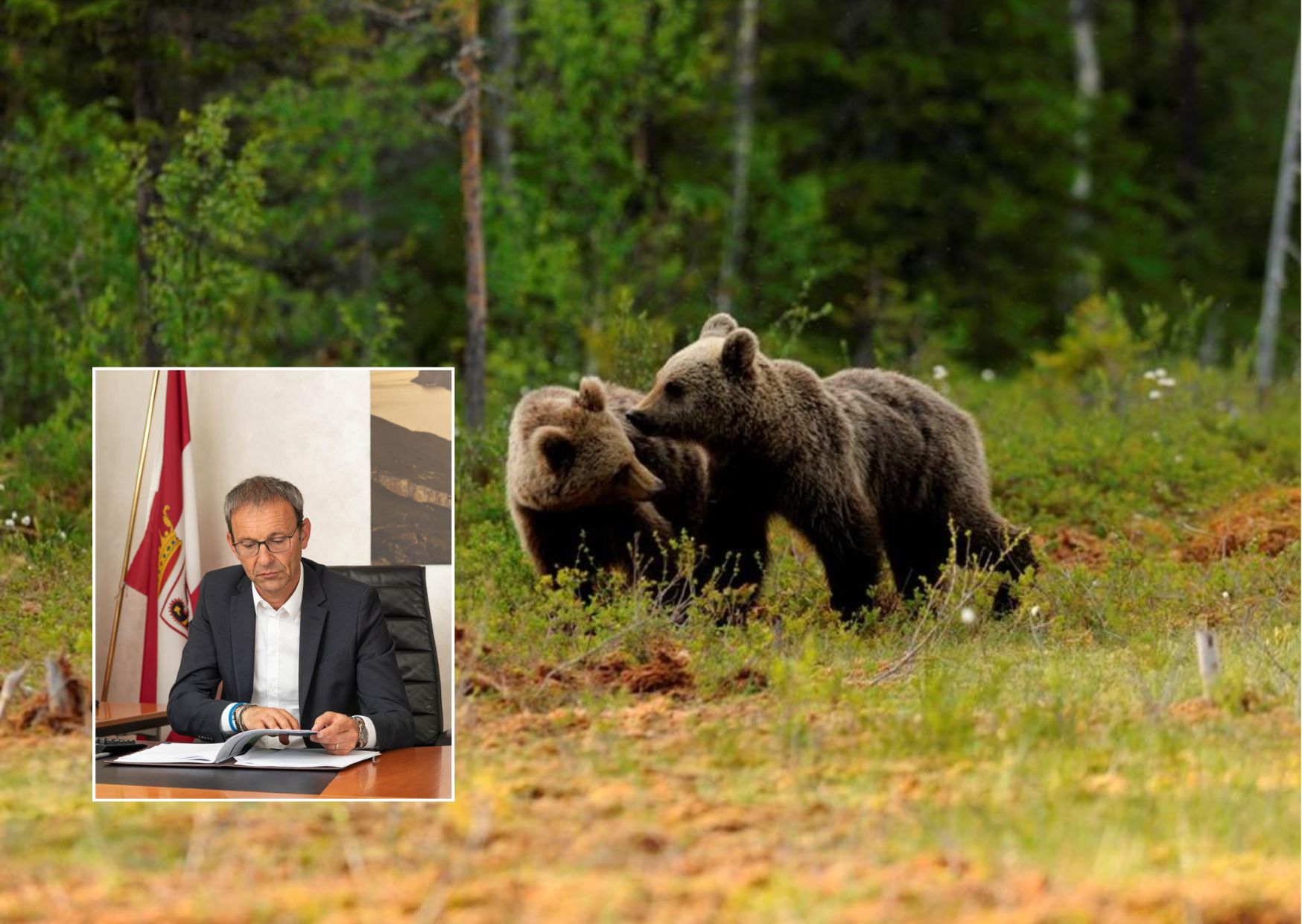 JJ4, la Failoni: "nessun obbligo di trasferire l"orsa custodita al Casteller"