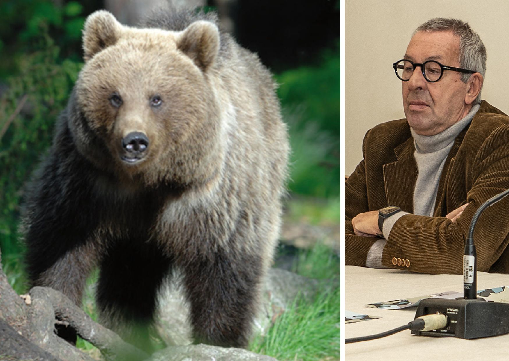 Orsi: il Comitato chiede provvedimenti urgenti per la gestione