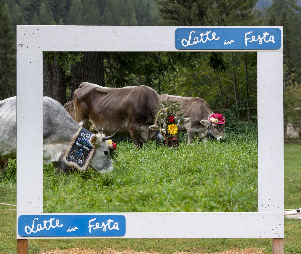 Il latte italiano spinge