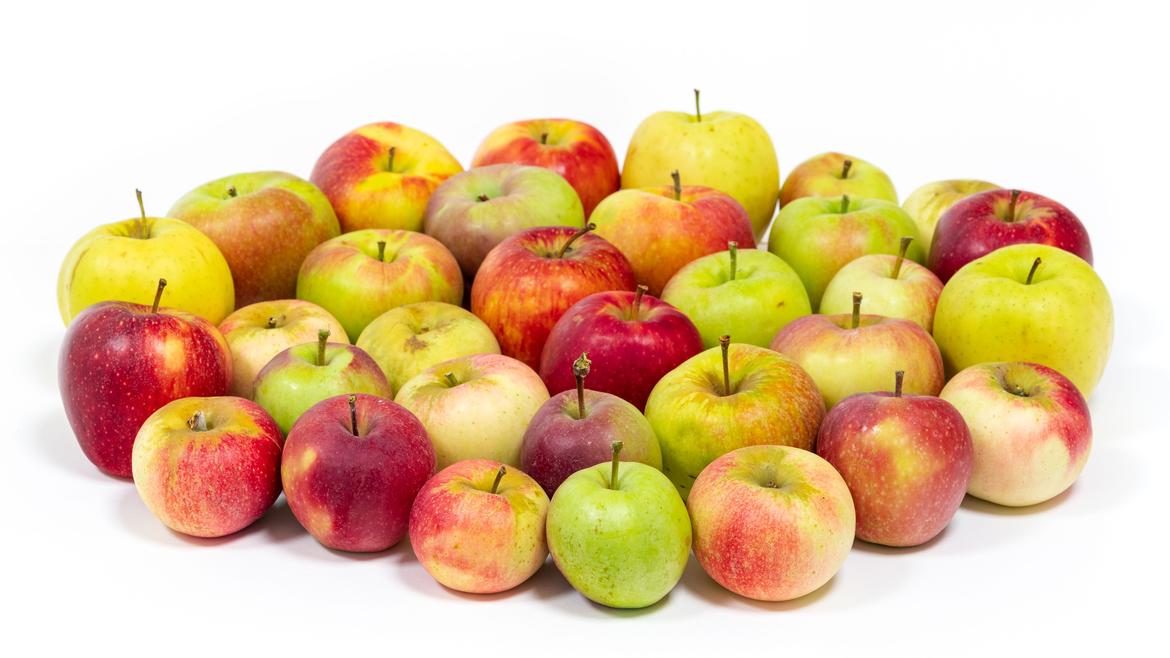 "Custodi della biodiversit&agrave; ", parte un nuovo corso per agricoltori e allevatori