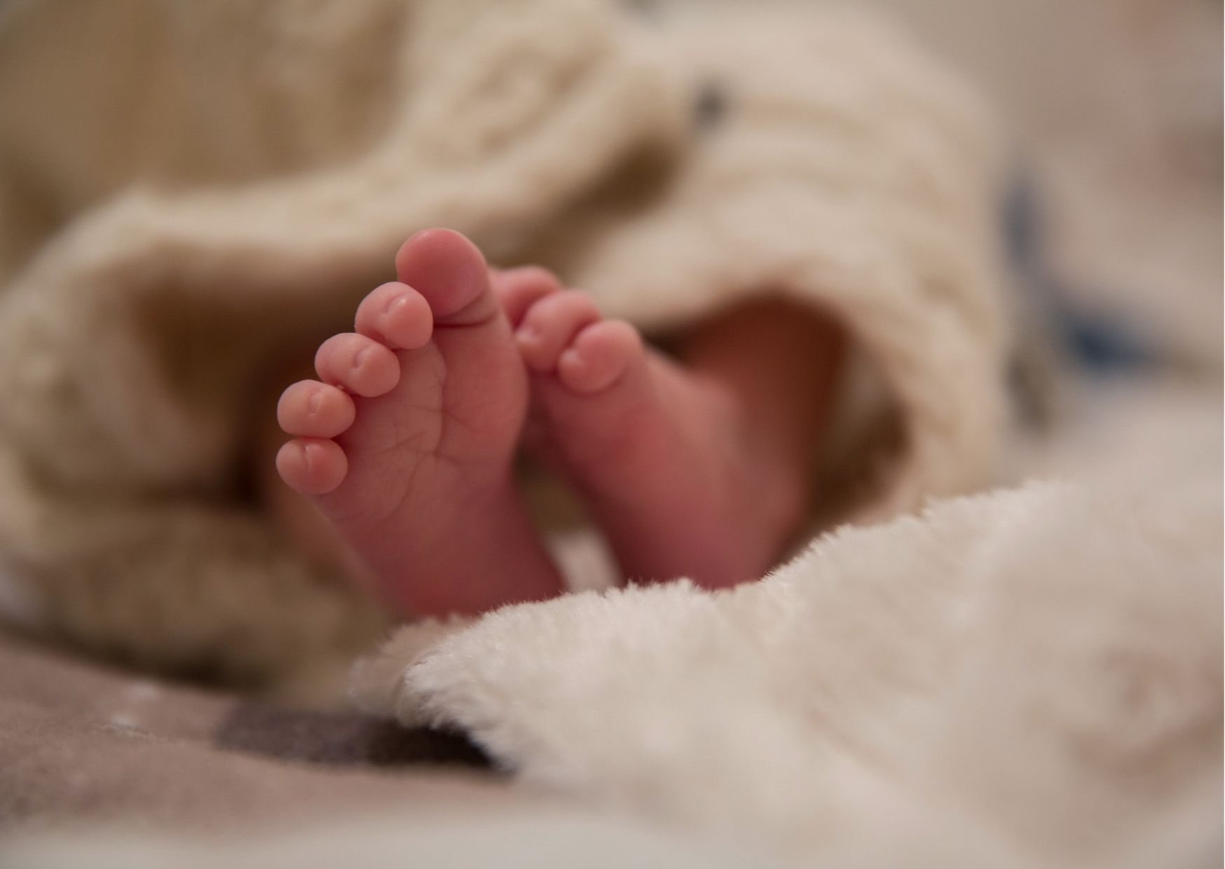 Niko, il primo nato del 2024 in Trentino