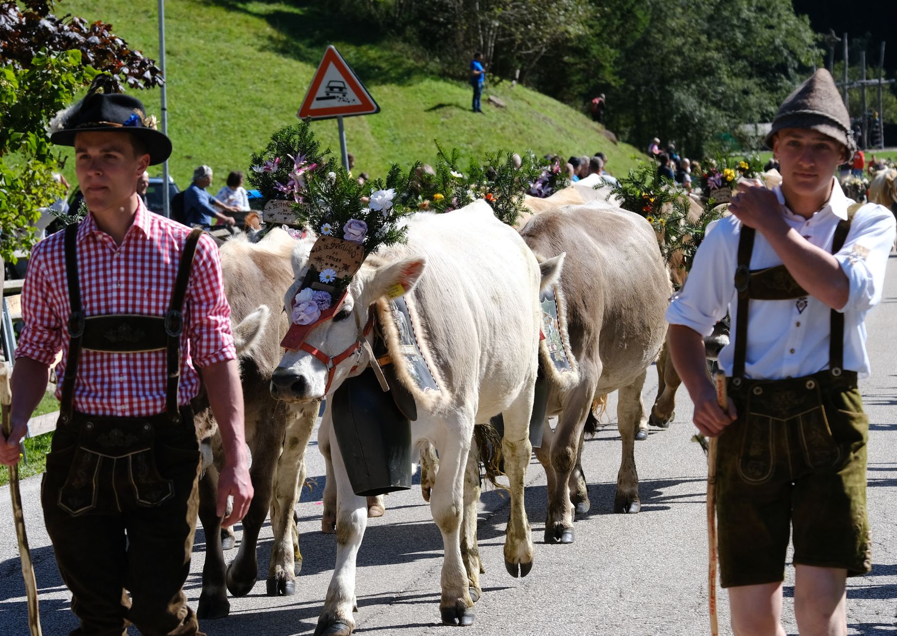 Ma quale latte stiamo festeggiando?
