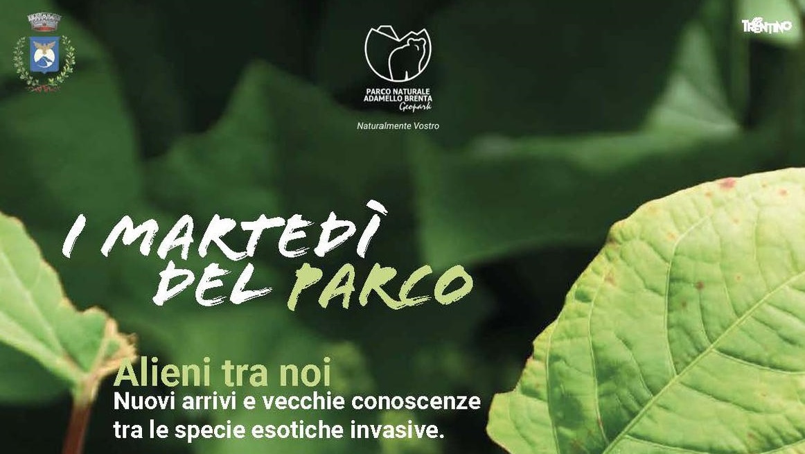 Specie aliene a ‘I martedì del Parco’