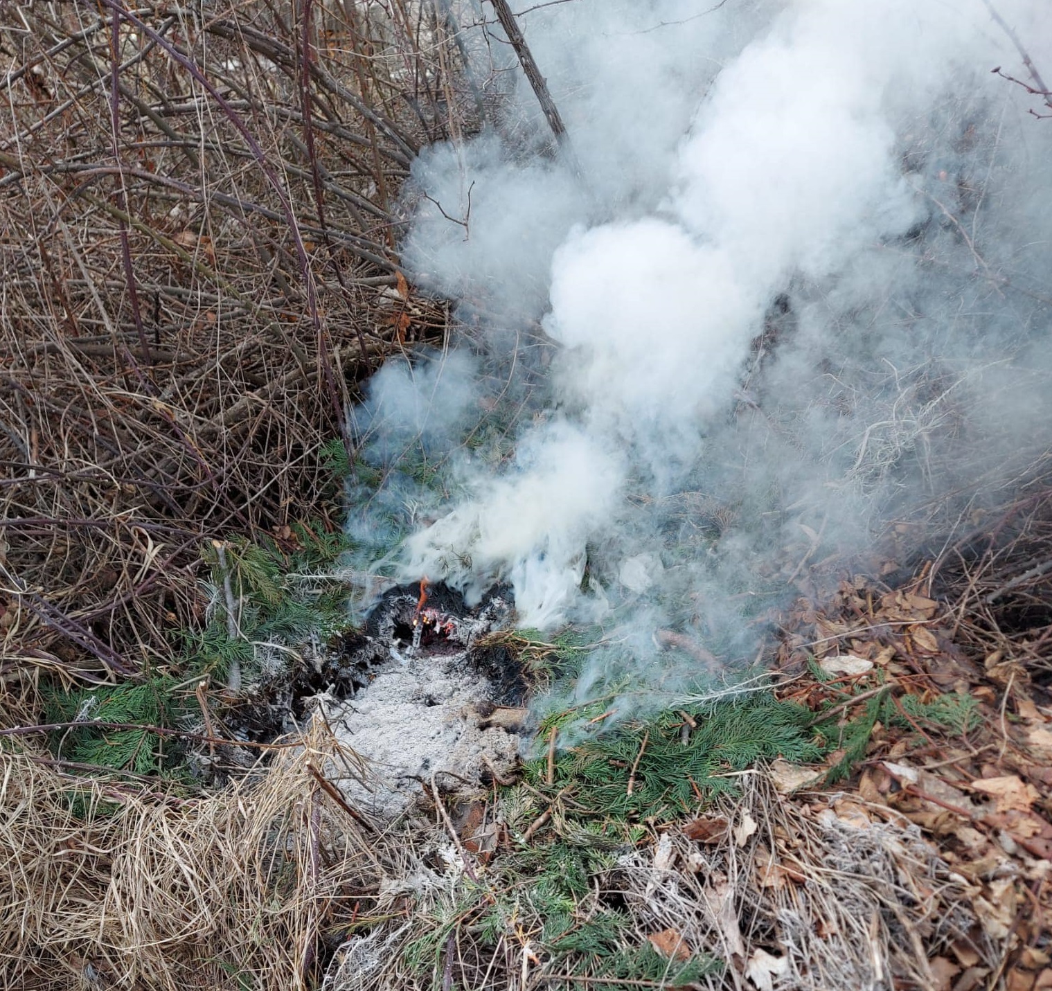 Sfruz, principio di incendio nel sottobosco