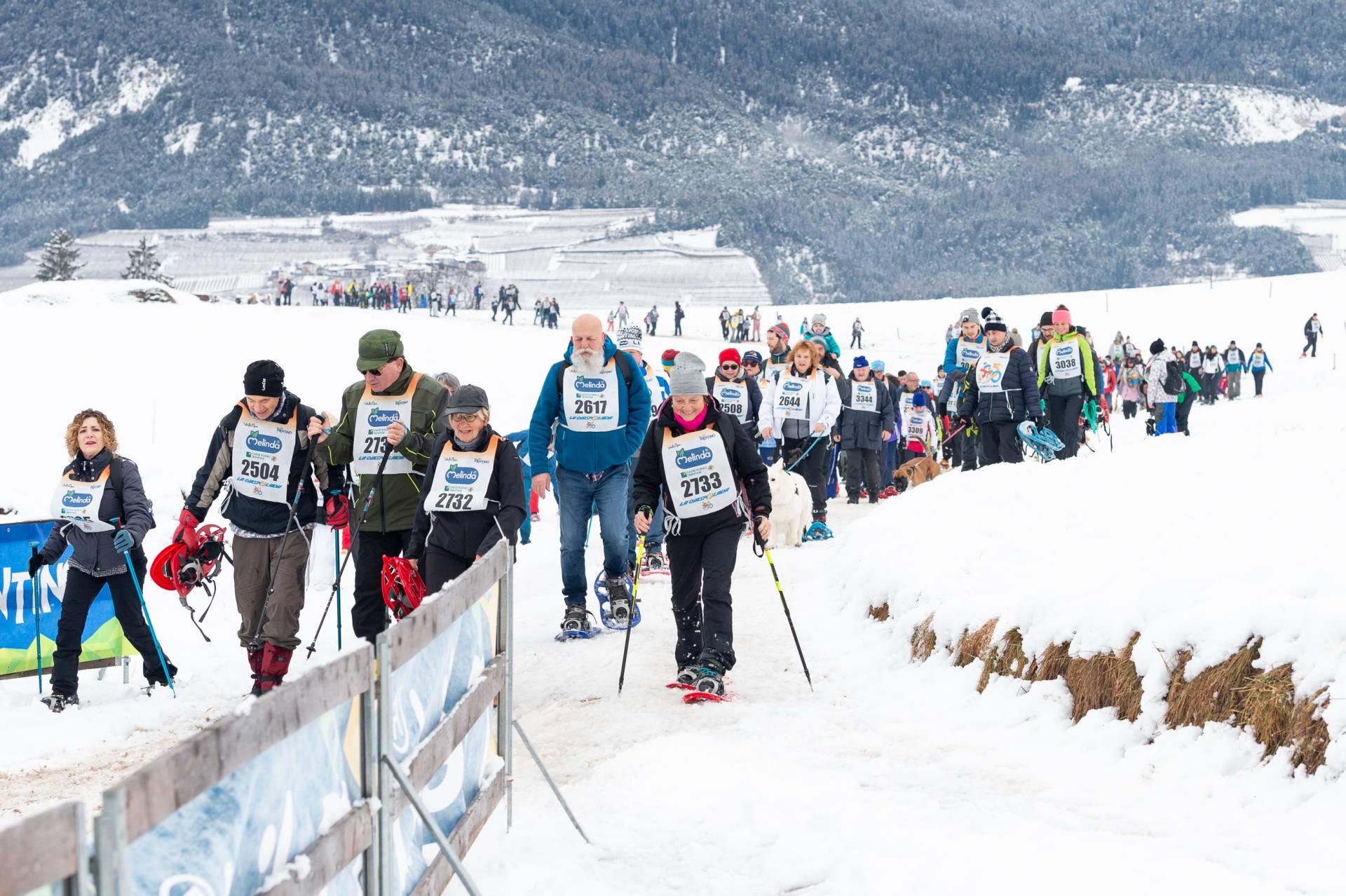 Partite alla grande le iscrizioni a La Ciaspolada