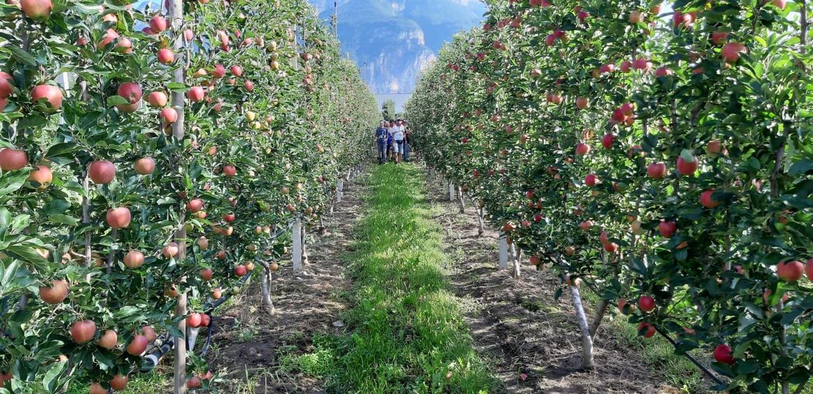 Corso per imprenditori agricoli, iscrizioni fino al 15 ottobre