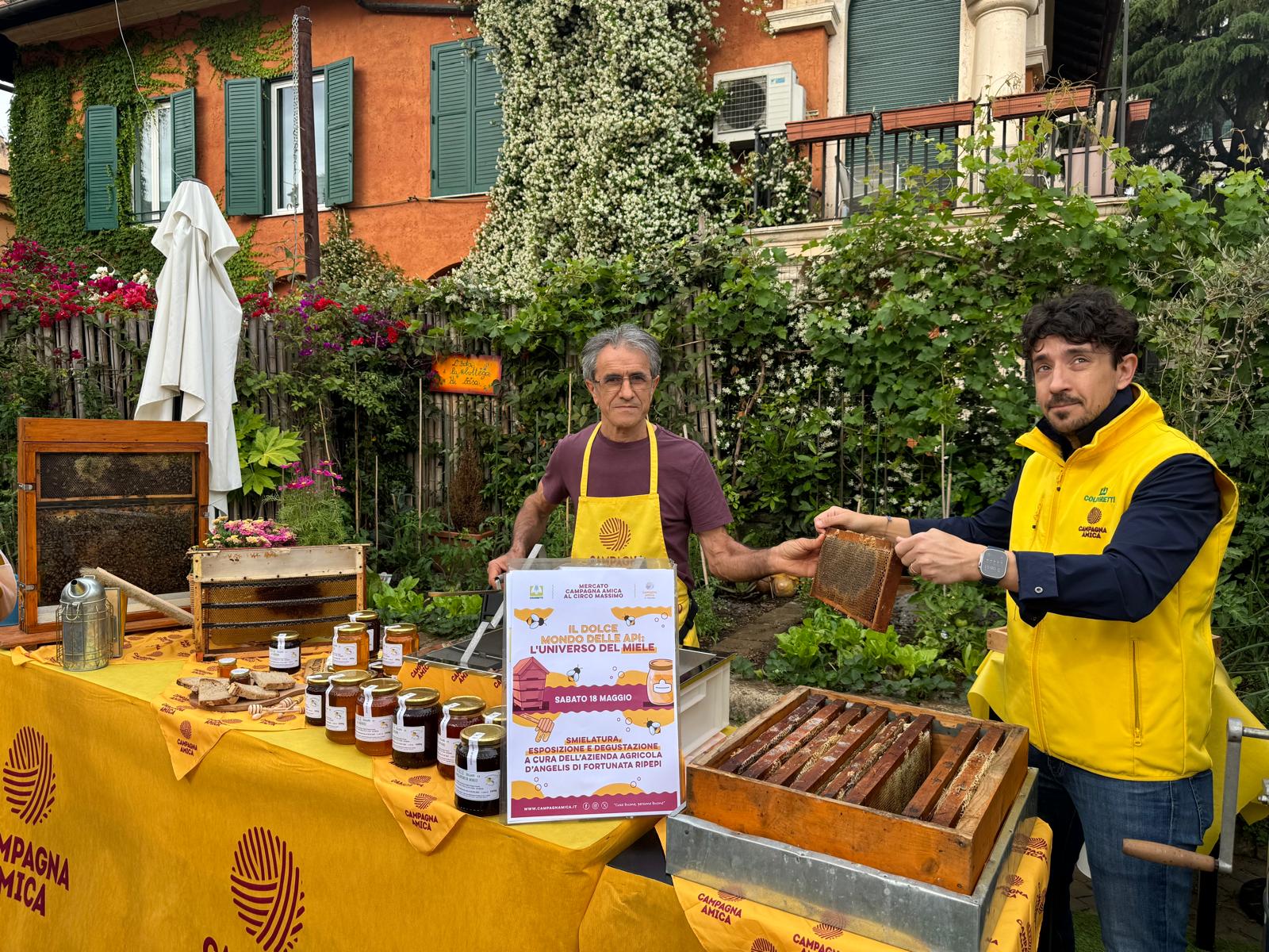 Giornata api: Coldiretti e il sos invasione miele dall'estero