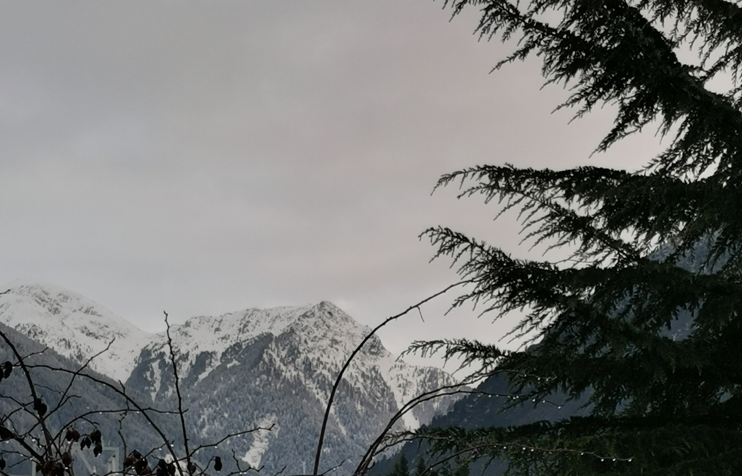 Dicembre con precipitazioni sopra la media e temperature molto elevate