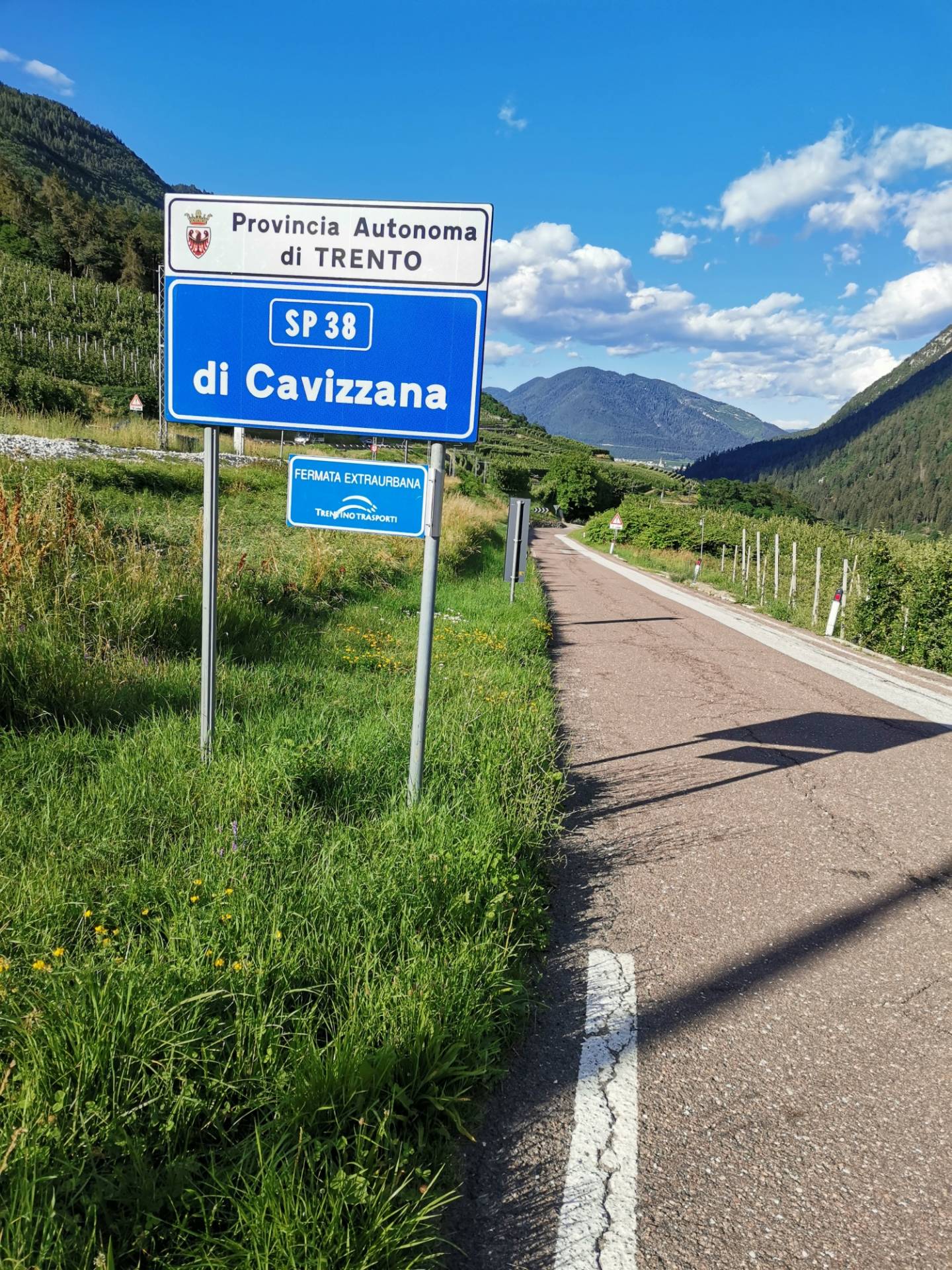 Strada di Cavizzana, via alla gara