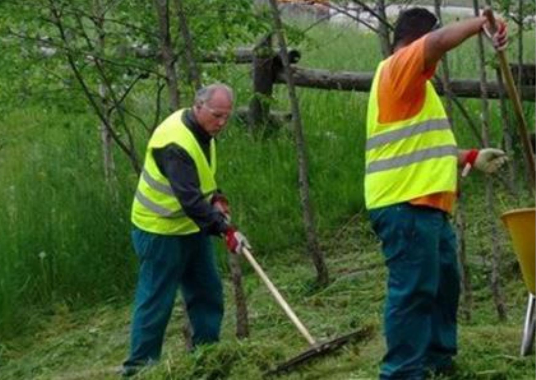 Assegnati 15 milioni per lavori socialmente utili