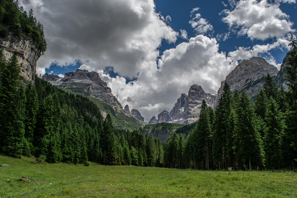 Il Parco Naturale Adamello Brenta al Salone del Libro
