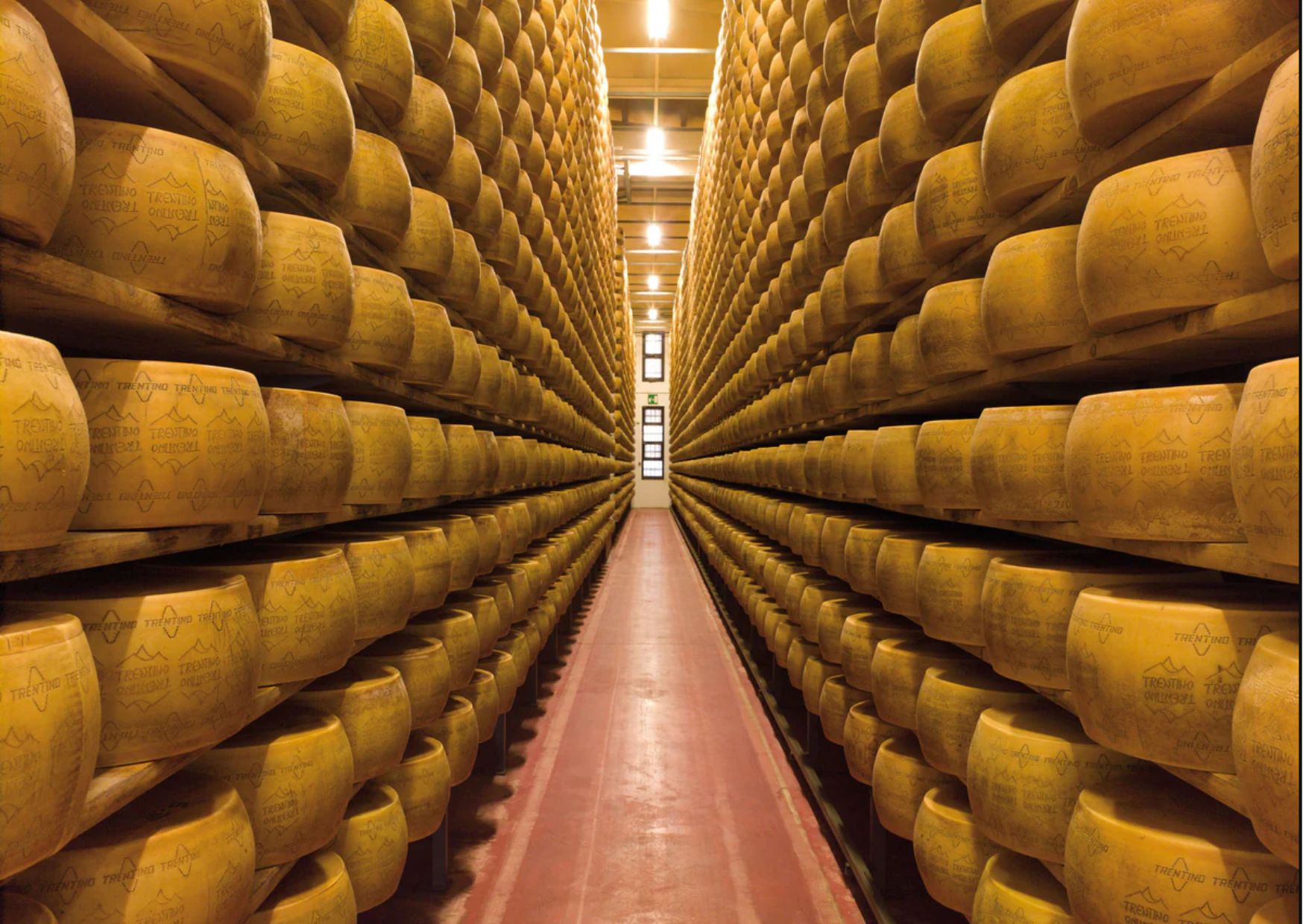 Settore lattiero-caseario, una strategia per il futuro