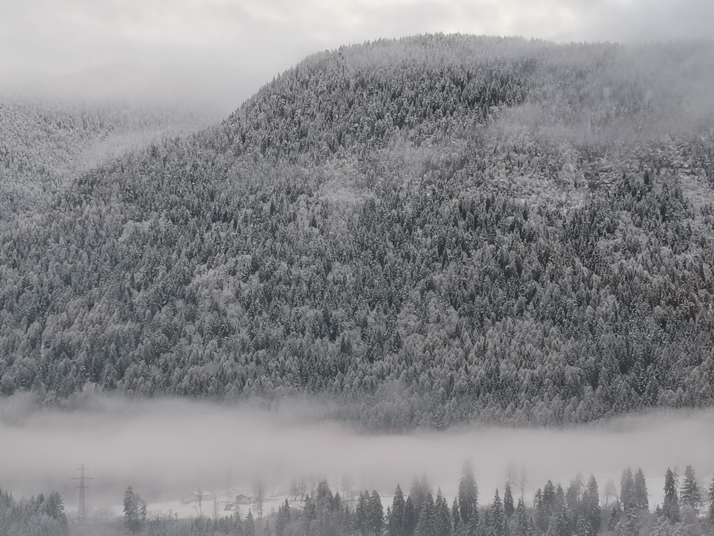 Natale col sole, Pasqua con la legna